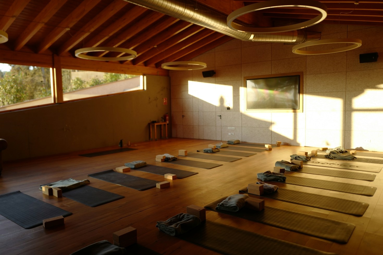 Ten Morning Rituals to Boost Daily Vitality